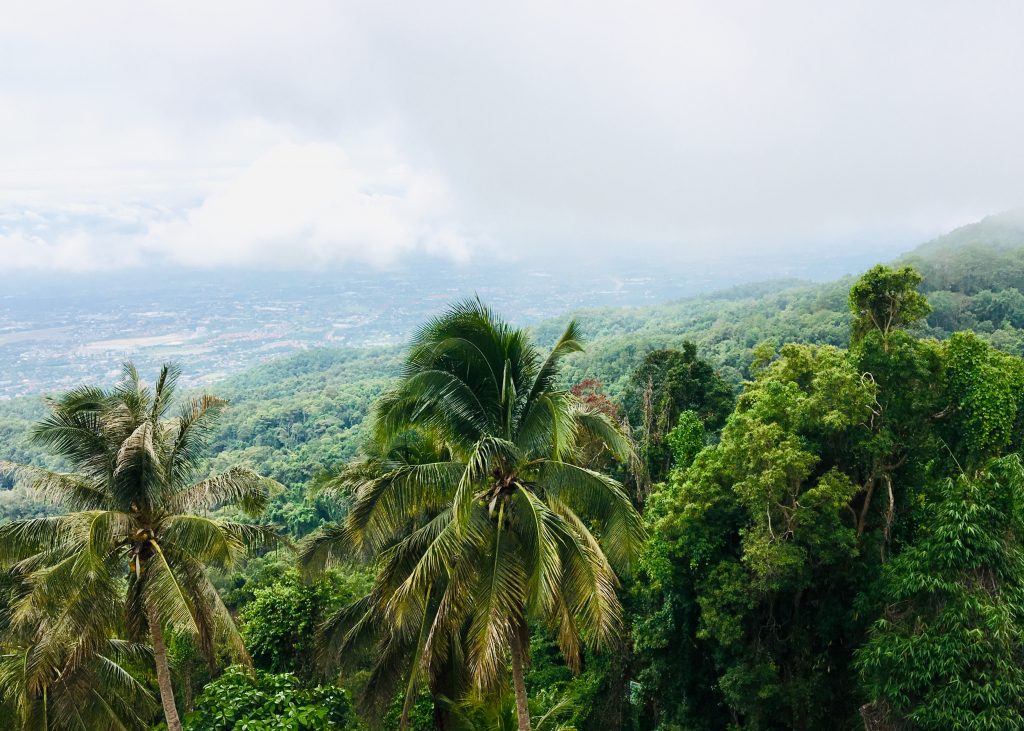View from Doi Suthep