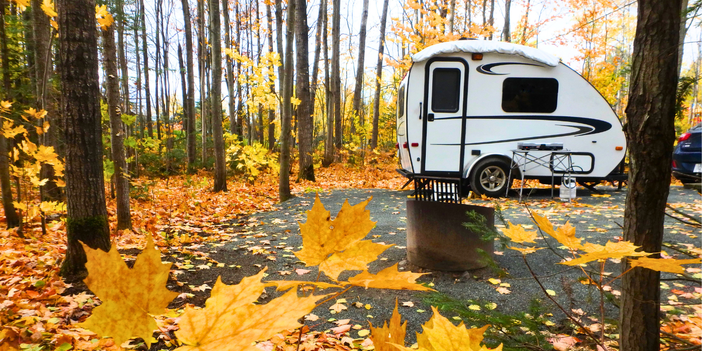 campervan in an autumn wood