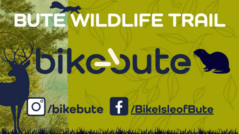 Bute Wildlife Trail thumbnail with a deer, an otter and squirrel in the background.